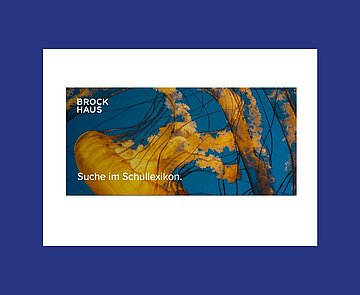 Logo Brockhaus Schullexikon