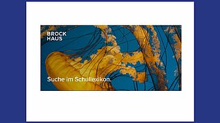 Logo Brockhaus Schullexikon